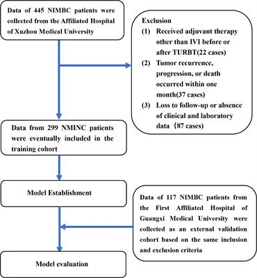 Development and external validation of a novel nomogram model for predicting postoperative recurrence-free survival in non-muscle-invasive bladder cancer